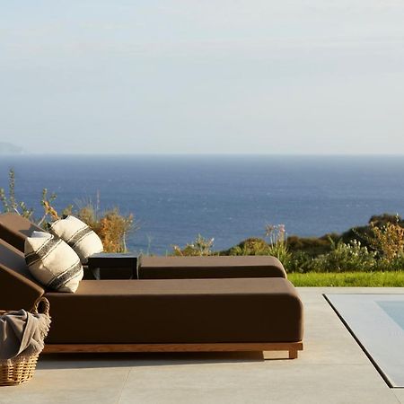 Villa Dione Kefalonian Chic Villas Spartia  Exteriér fotografie